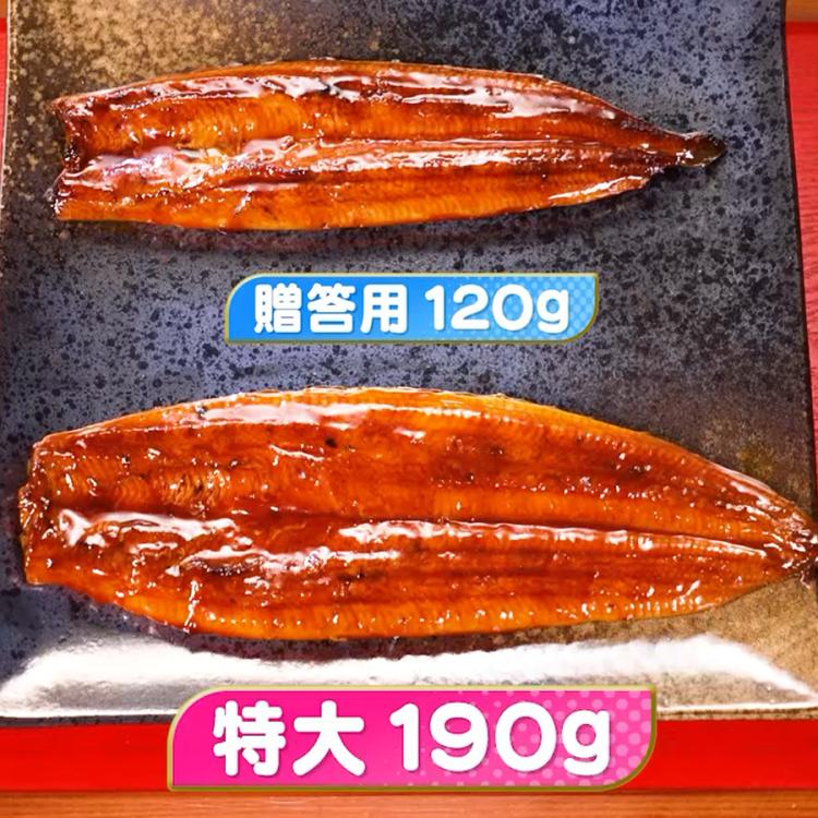 鹿児島県産うなぎ長焼き 特大サイズ／190g×3尾 計570g | TBS